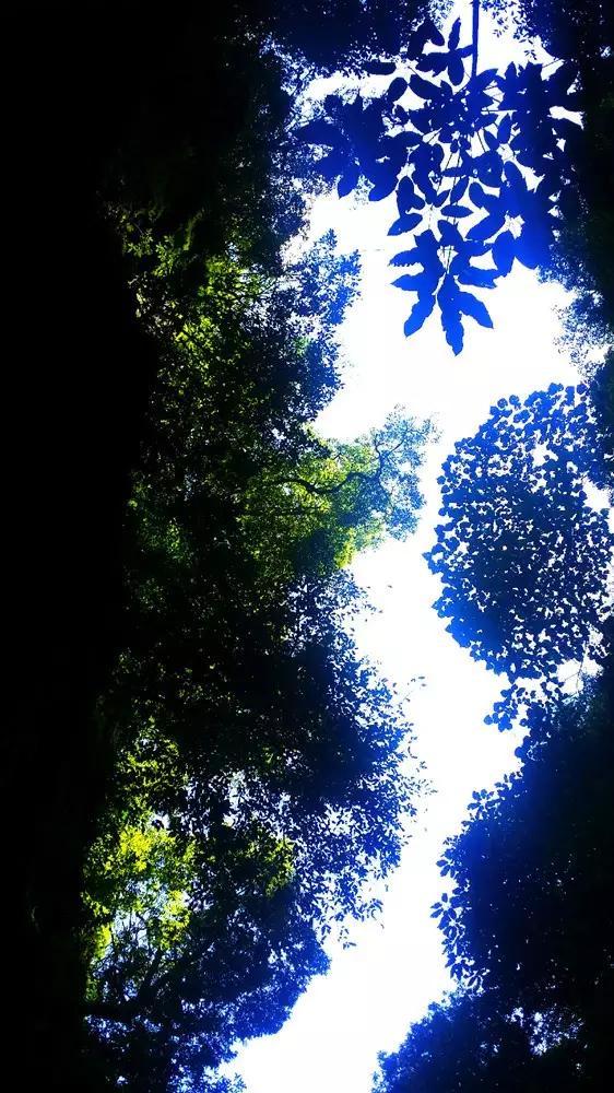 邓忠耀代表：持续推动特色产业提质增效