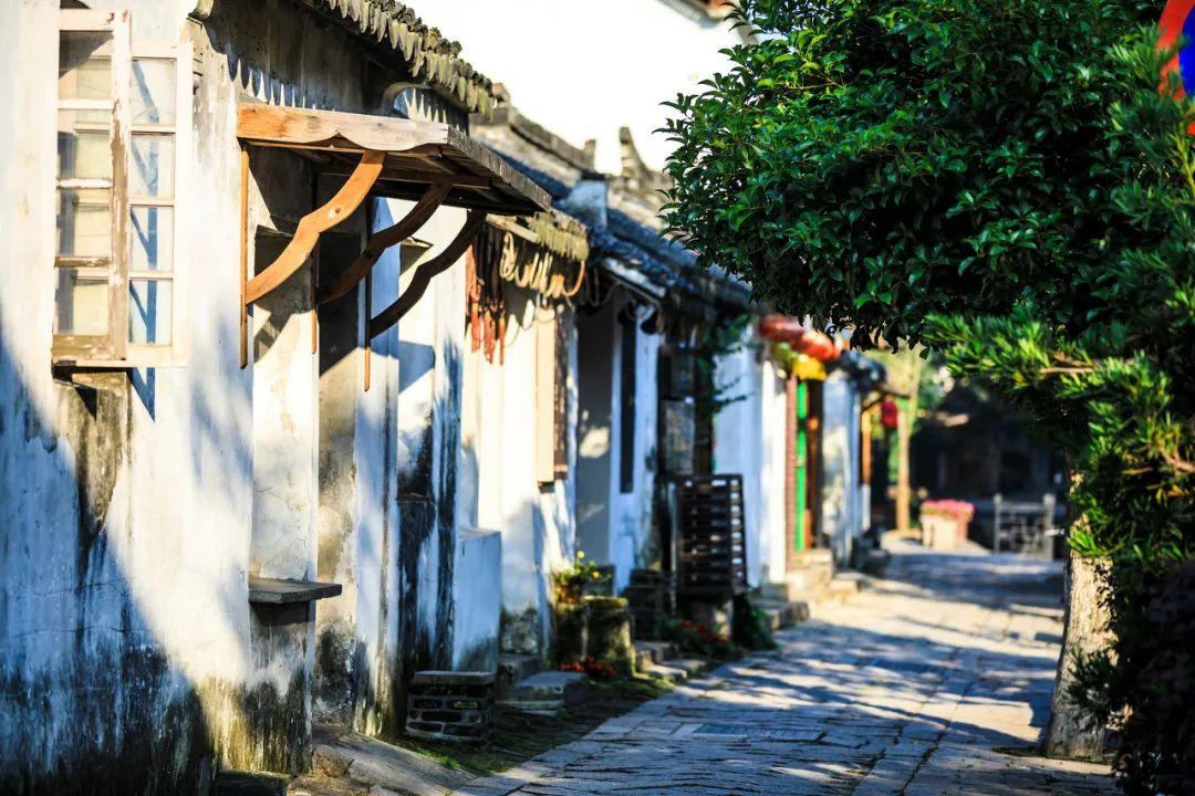 拯救小犀牛